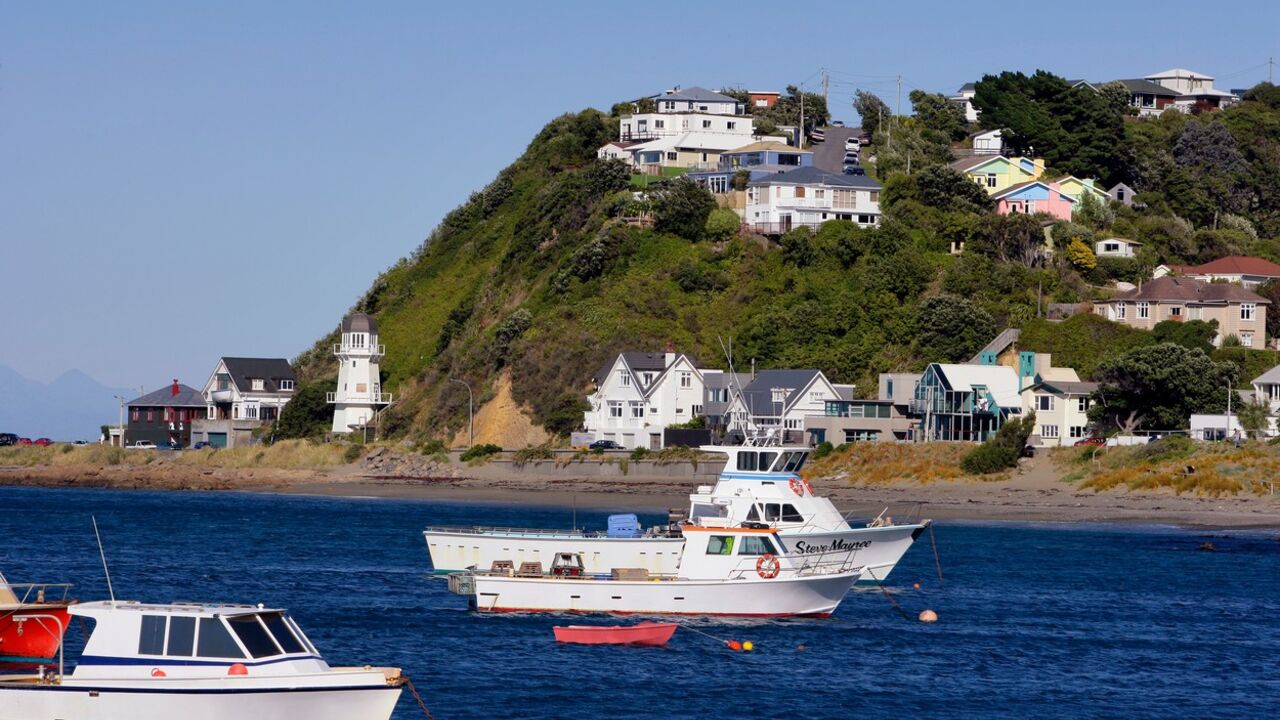 Novi Zeland