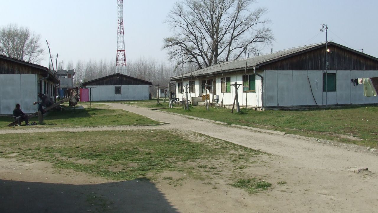 azilanti, Krnjača