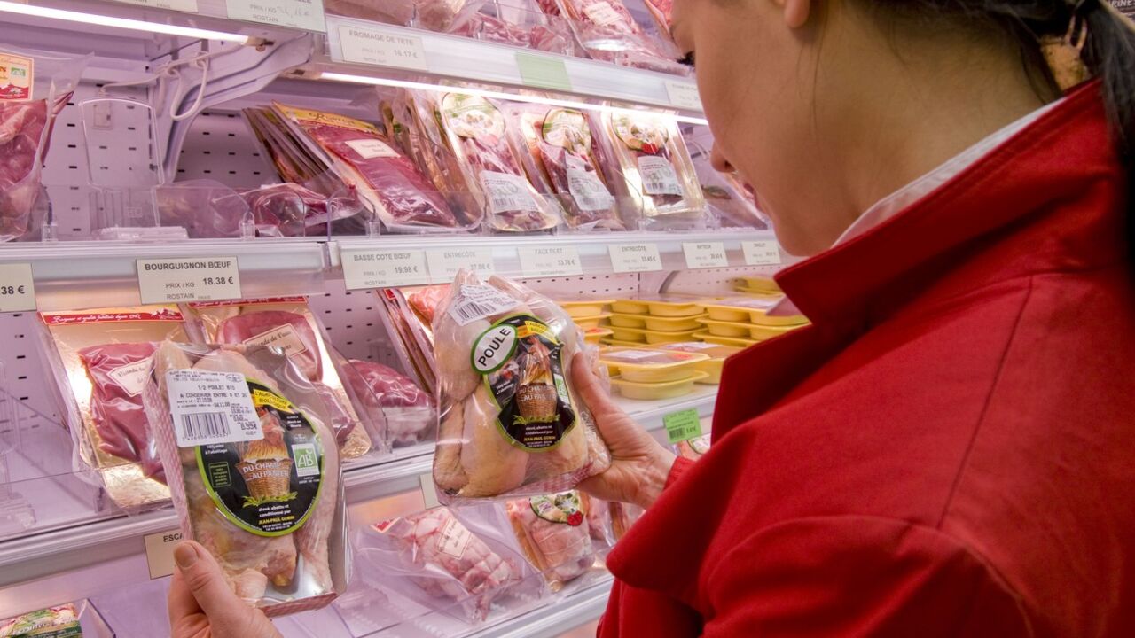 Žena čita deklaracije