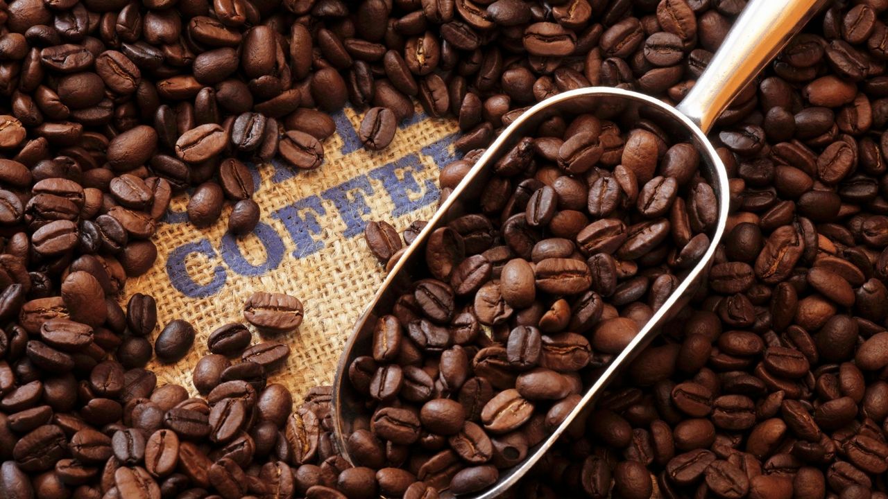Kafa