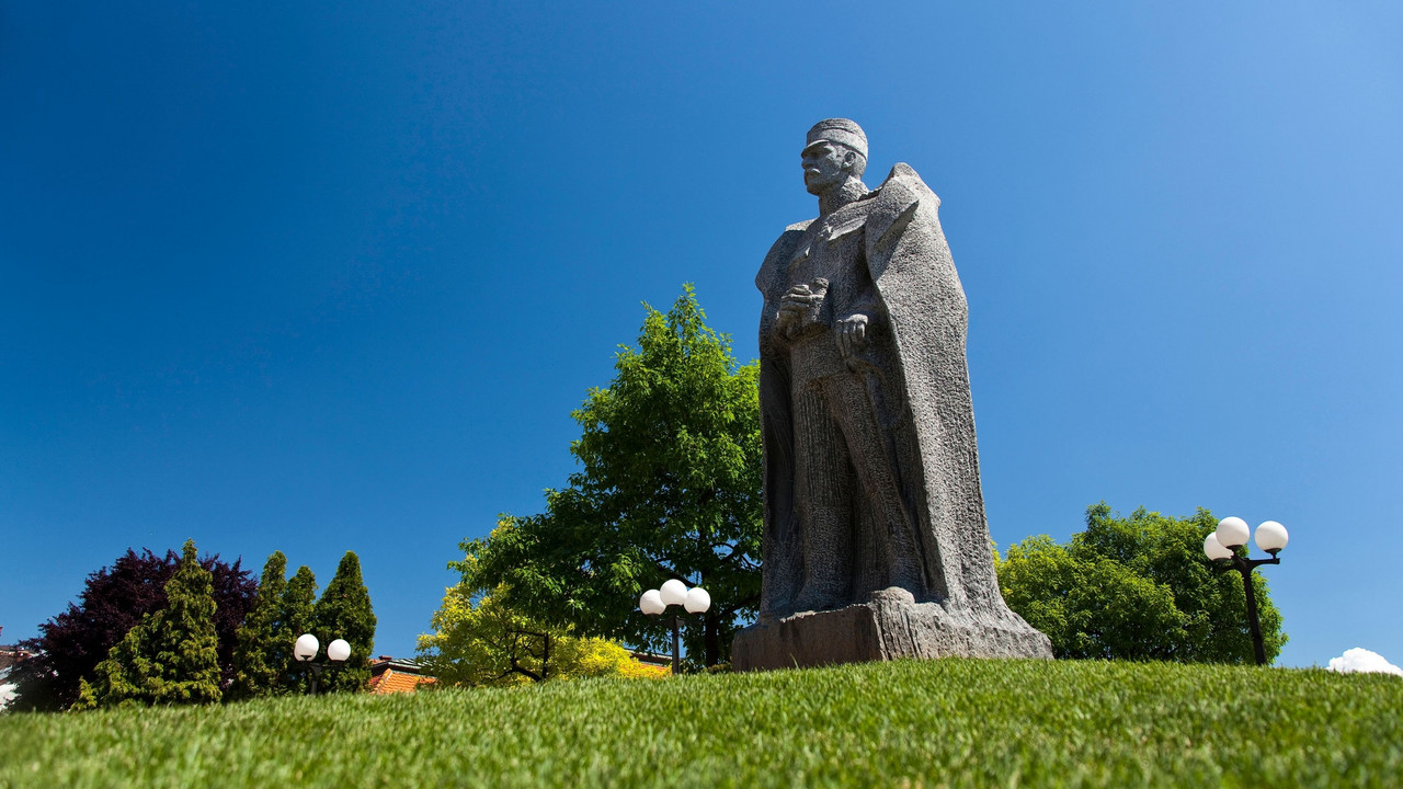Živojin Mišić, spomenik