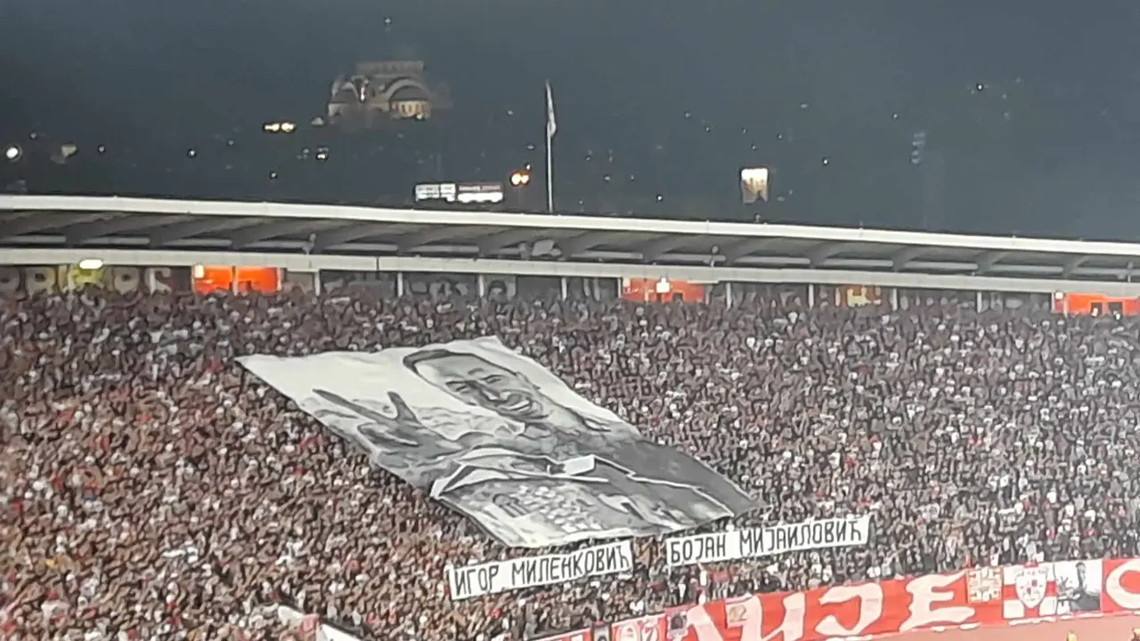 FK Crvena zvezda