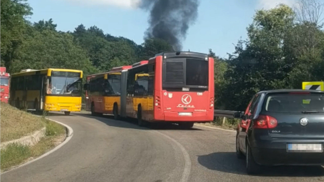 avala