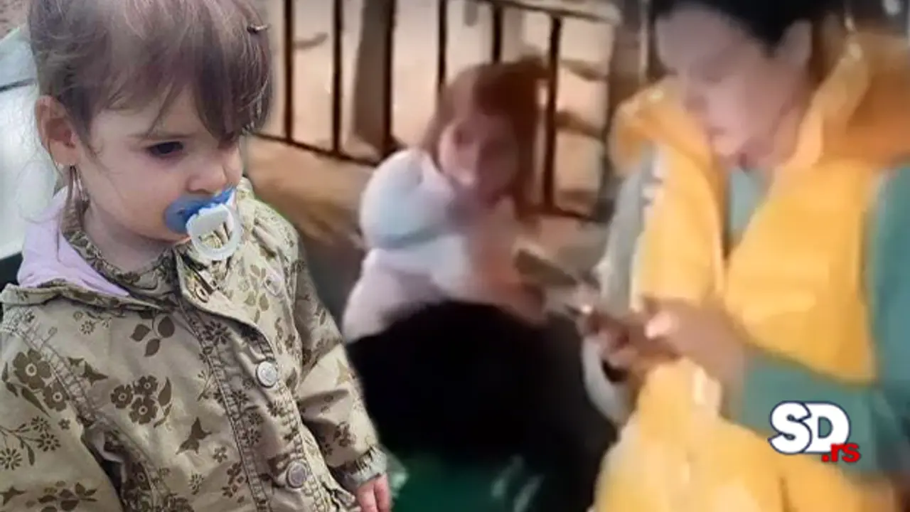 Danka Ilić viđena u Beču