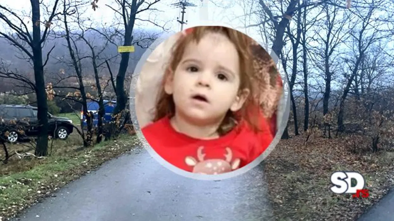 Nestala Danka Ilić