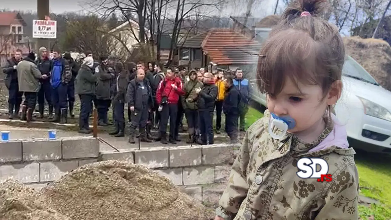 Potraga za nestalom Dankom Ilić