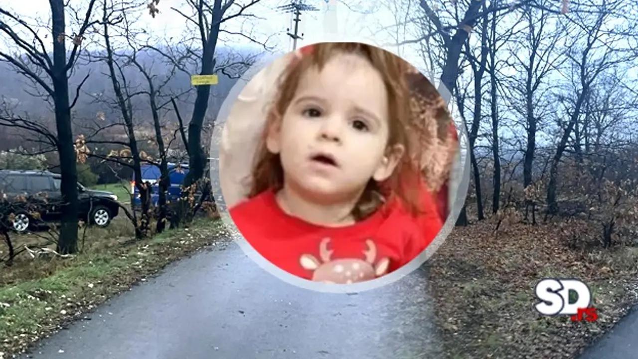 Danka Ilić
