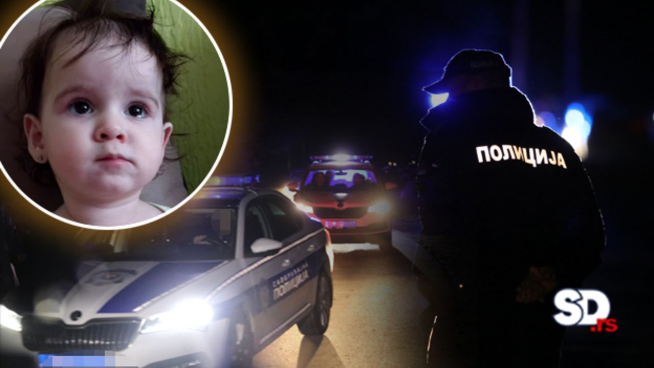 Nestala Danka Ilić