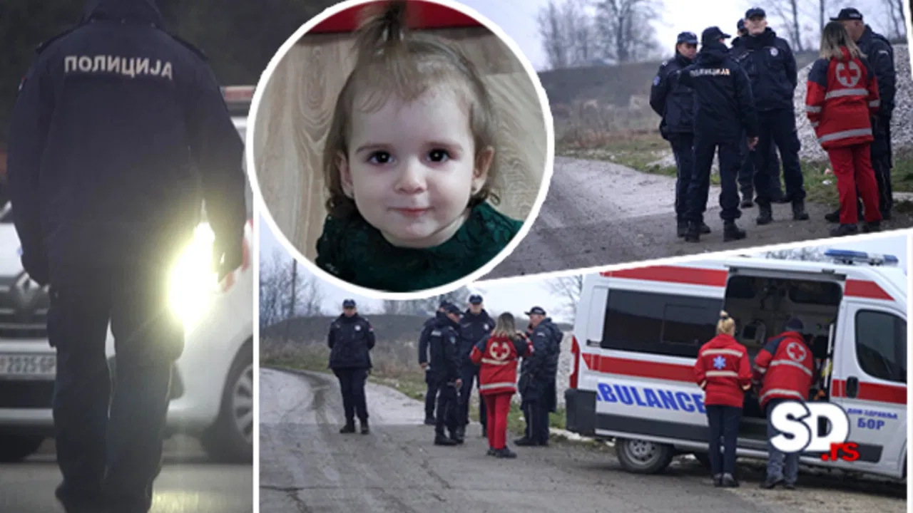 Potraga za nestalom Dankom Ilić