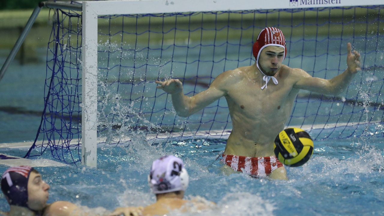 Vladimir Mišović