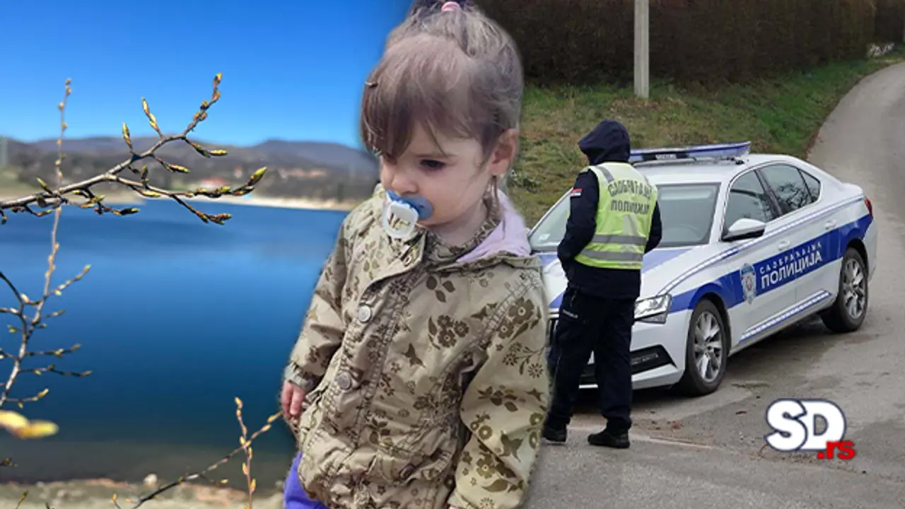 Nestala Danka Ilić