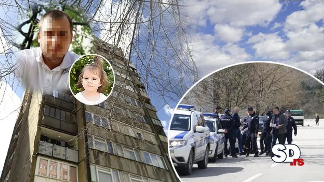 Nestala mala Danka
