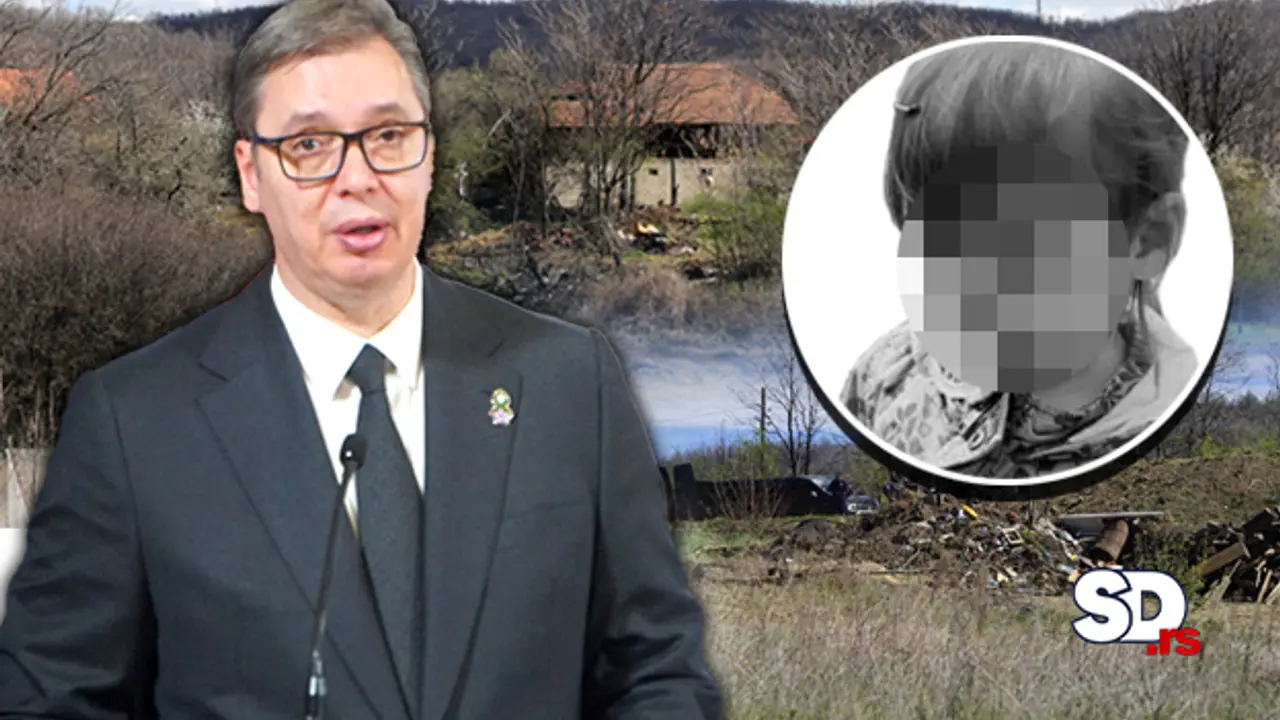 Danka Ilić, Aleksandar Vučić