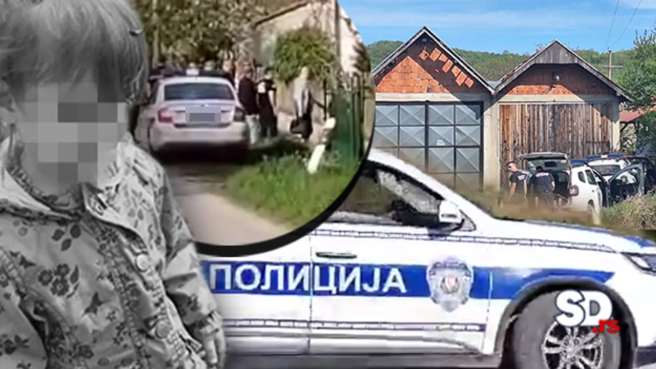 Potraga za telom Danke Ilić