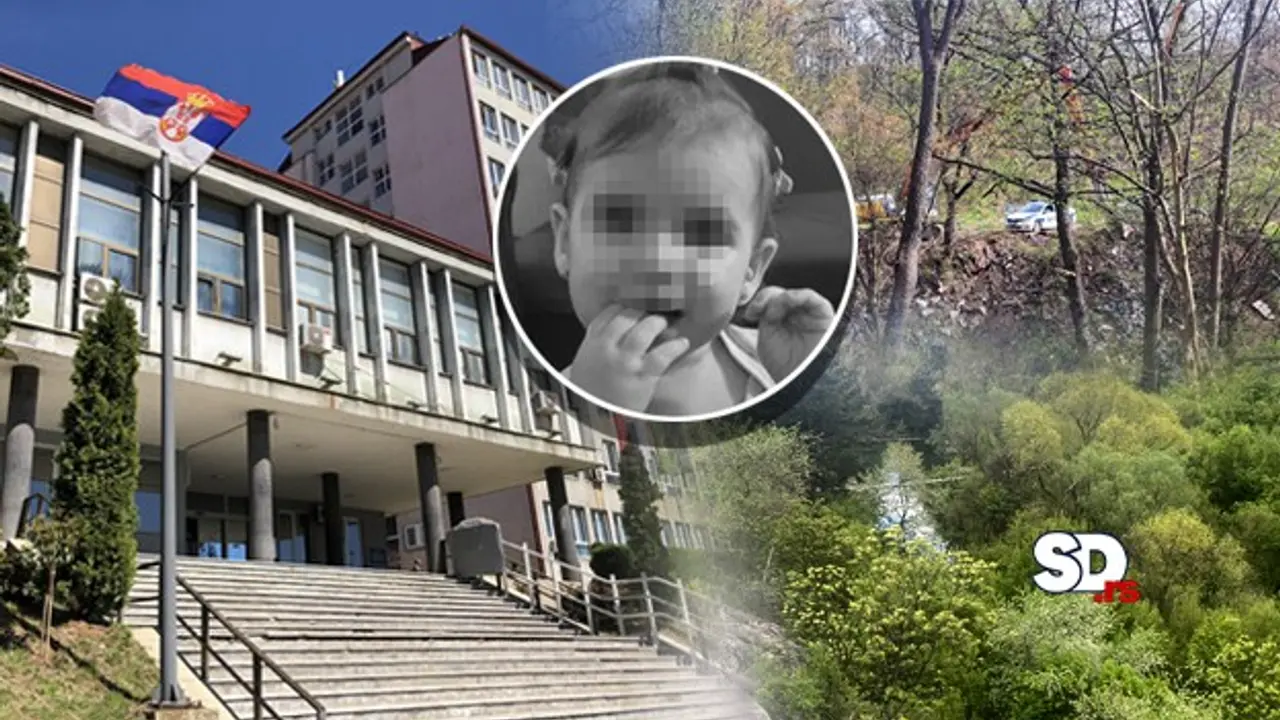 Ubijena Danka Ilić