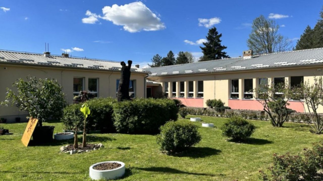 Dubovica