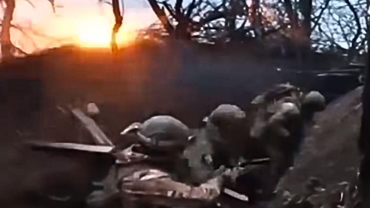 ukrajinska vojska