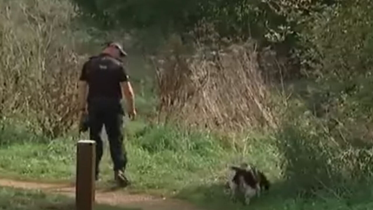 potraga za devojčicom