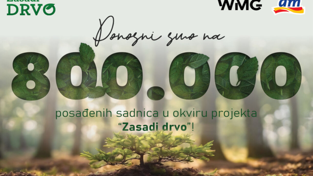 Zasadi drvo