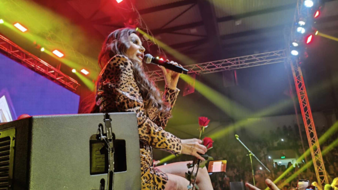 Ceca Ražnatović