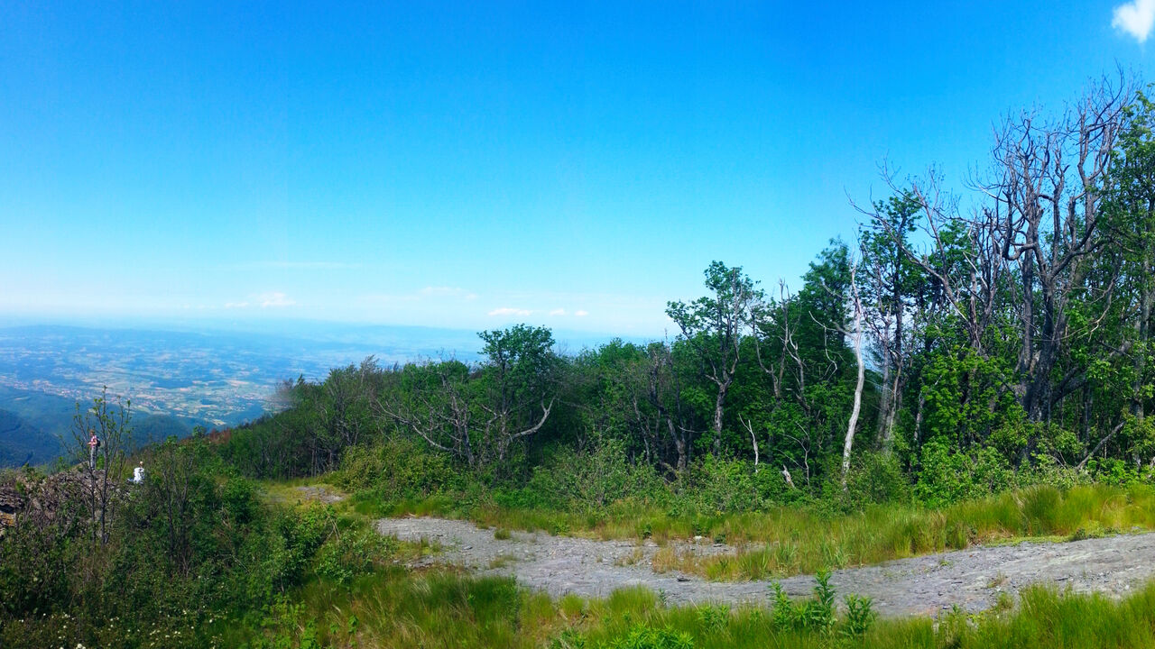 Jastrebac