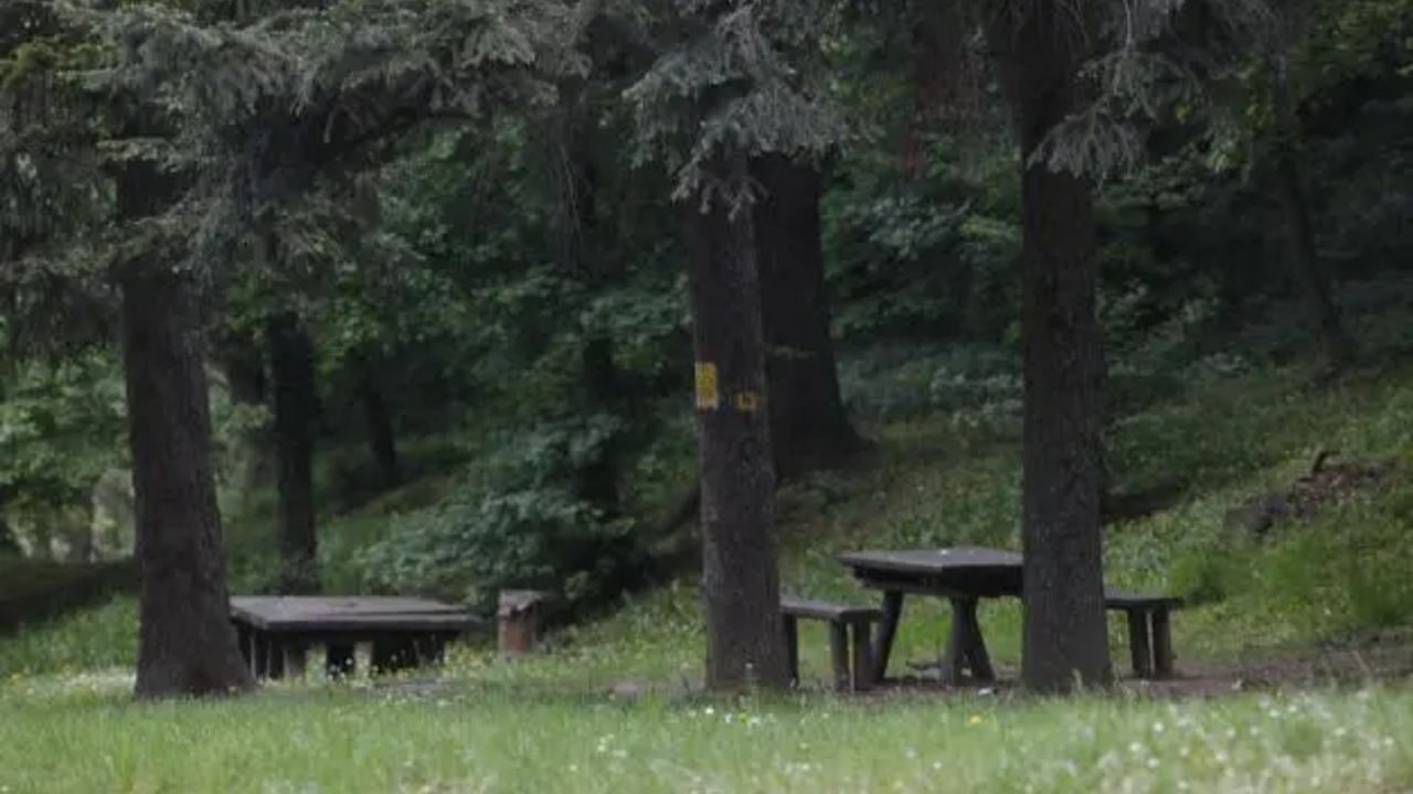 Košutnjak