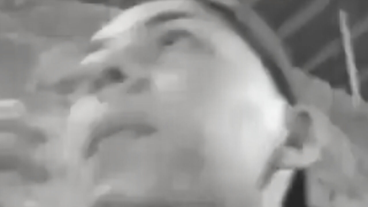 Nesaku