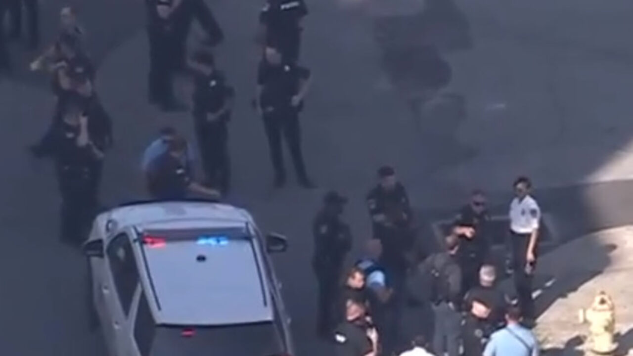 policija