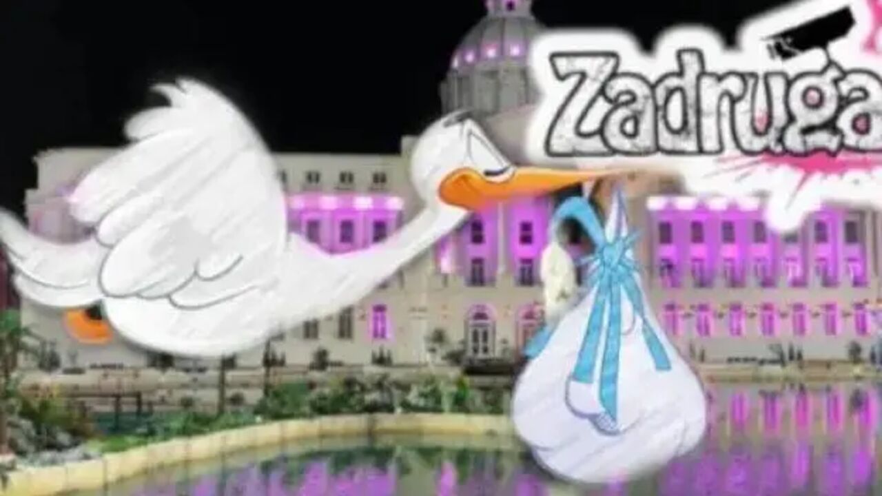 Zadruga
