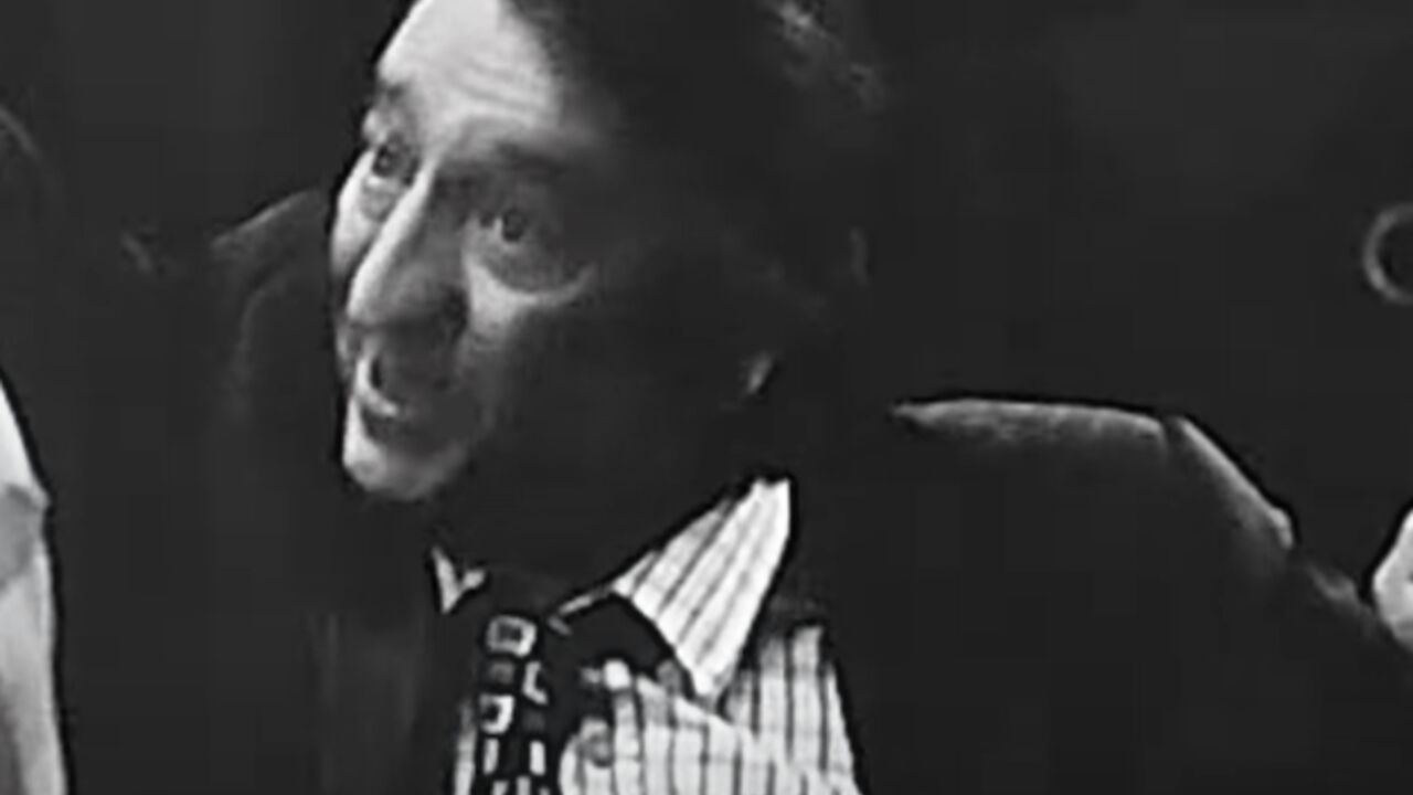 Haris Burina