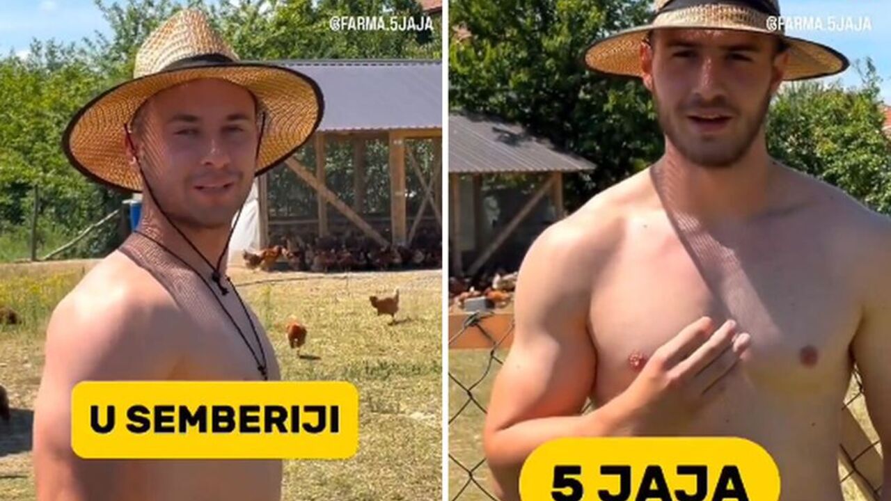 farma jaja