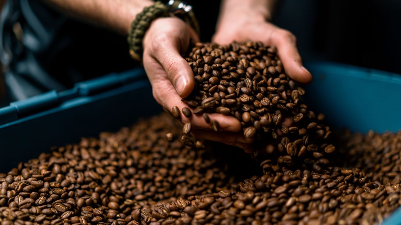 kafa