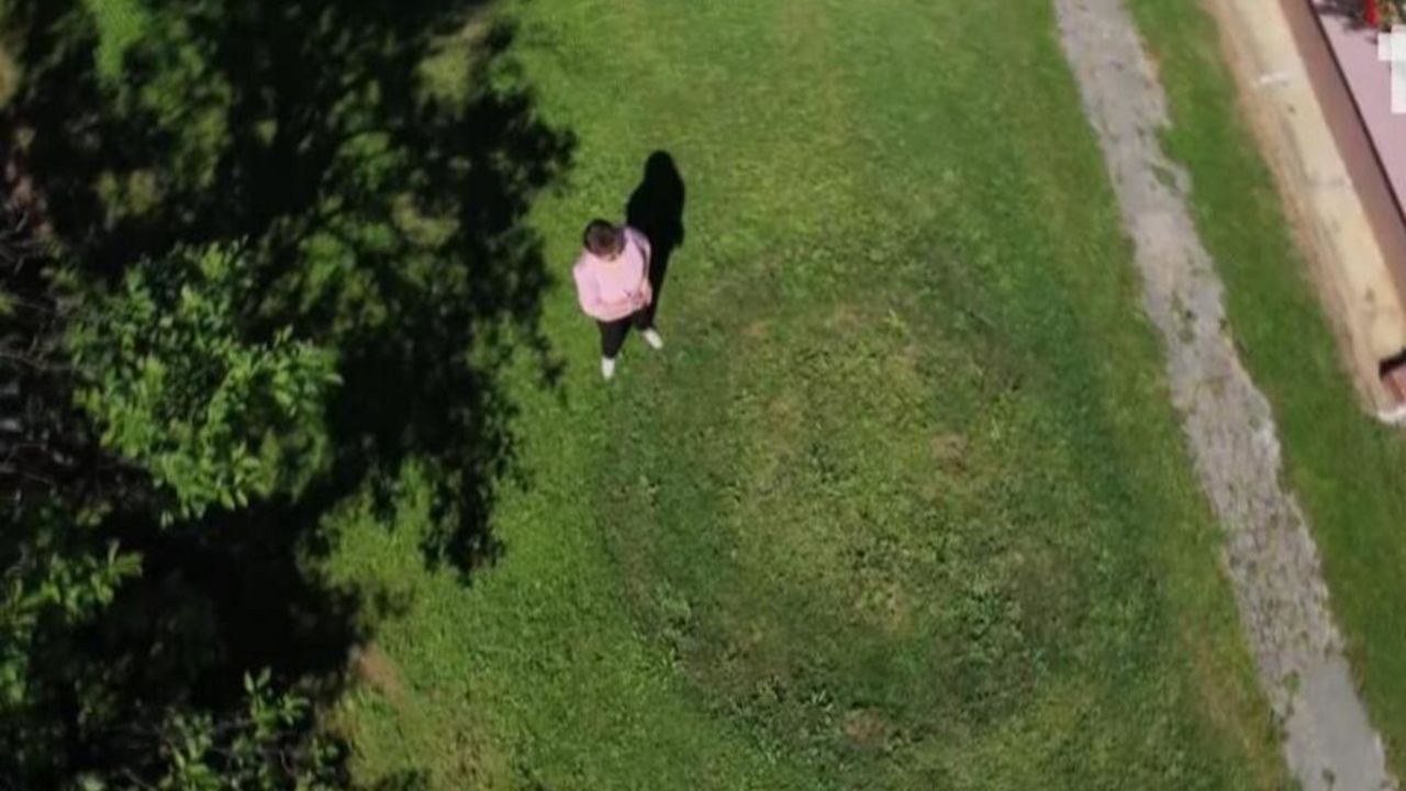Misteriozni krugovi u dvorištu