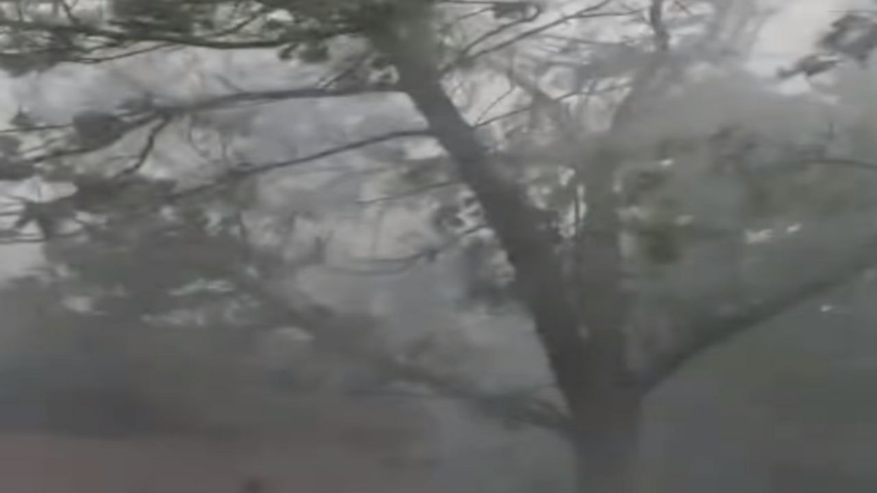 nevreme