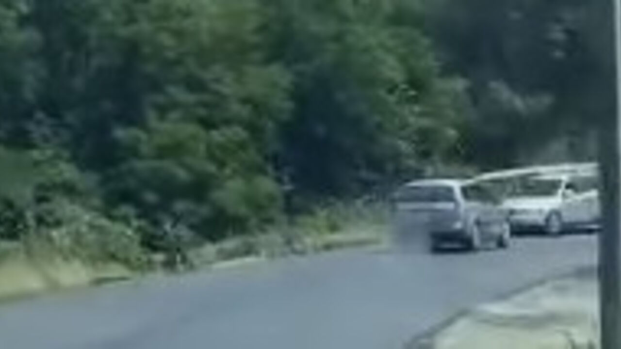 Sudar dva automobila