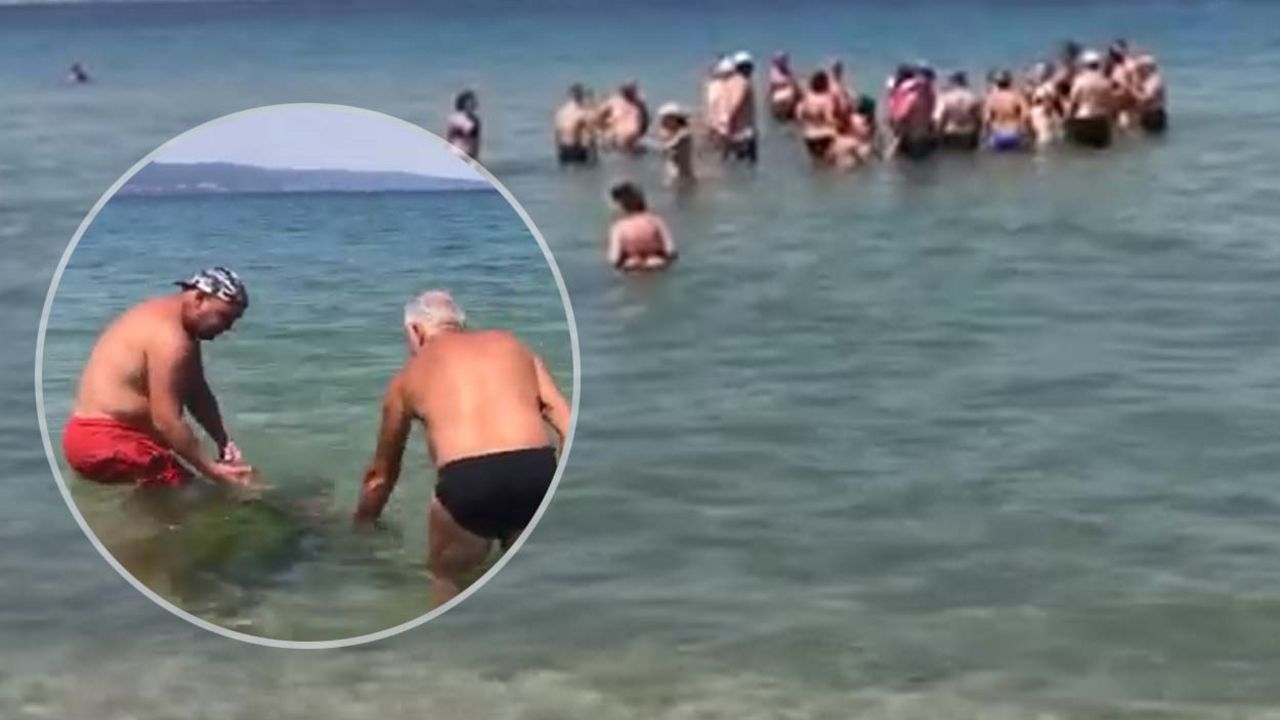 Akcija spasavanja