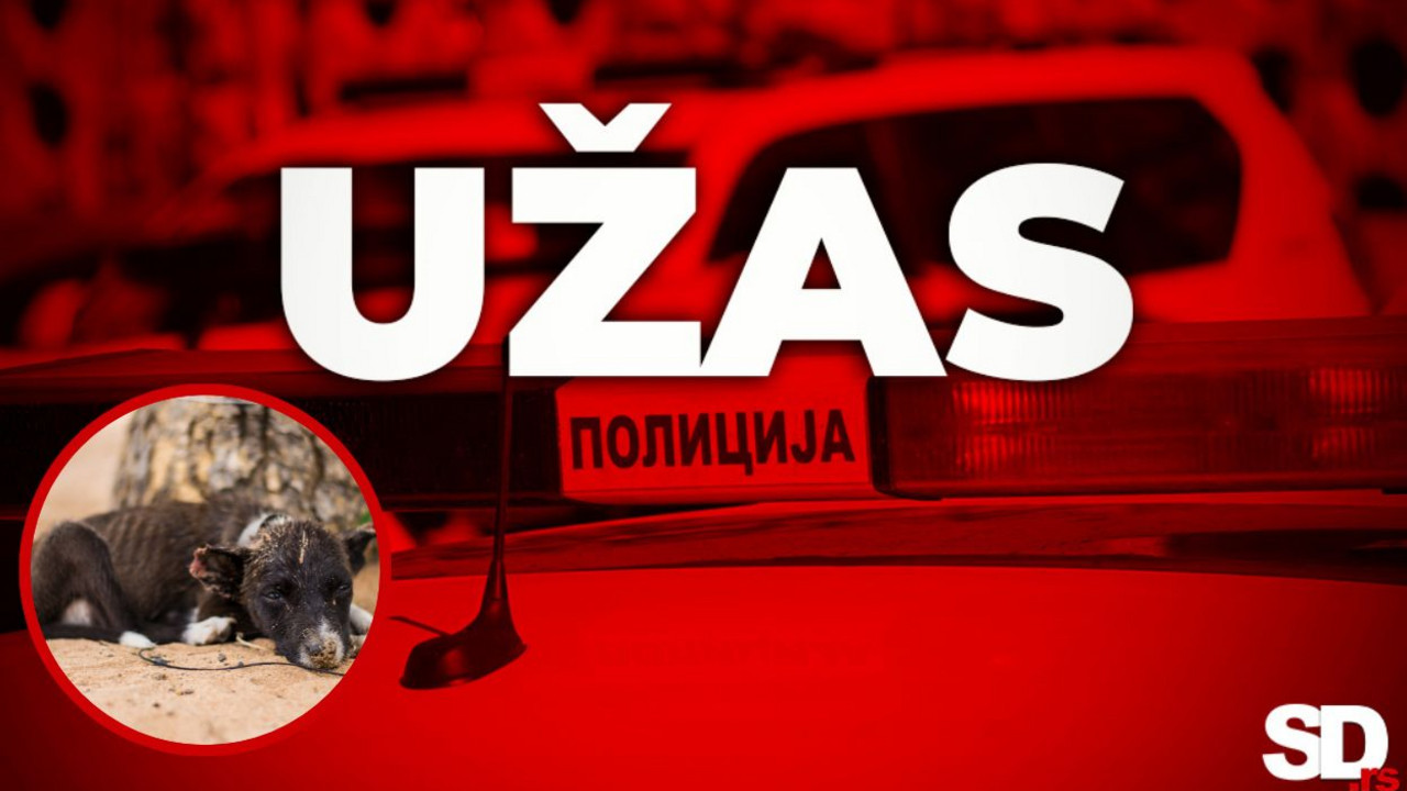 Užas