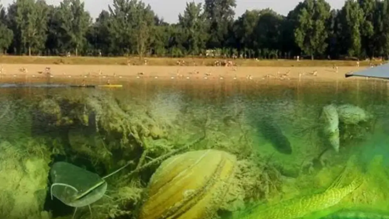 Ada Ciganlija