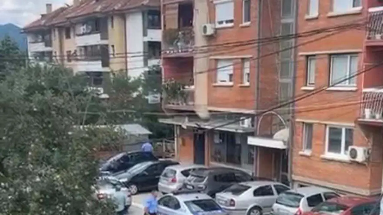 Kosovska policija