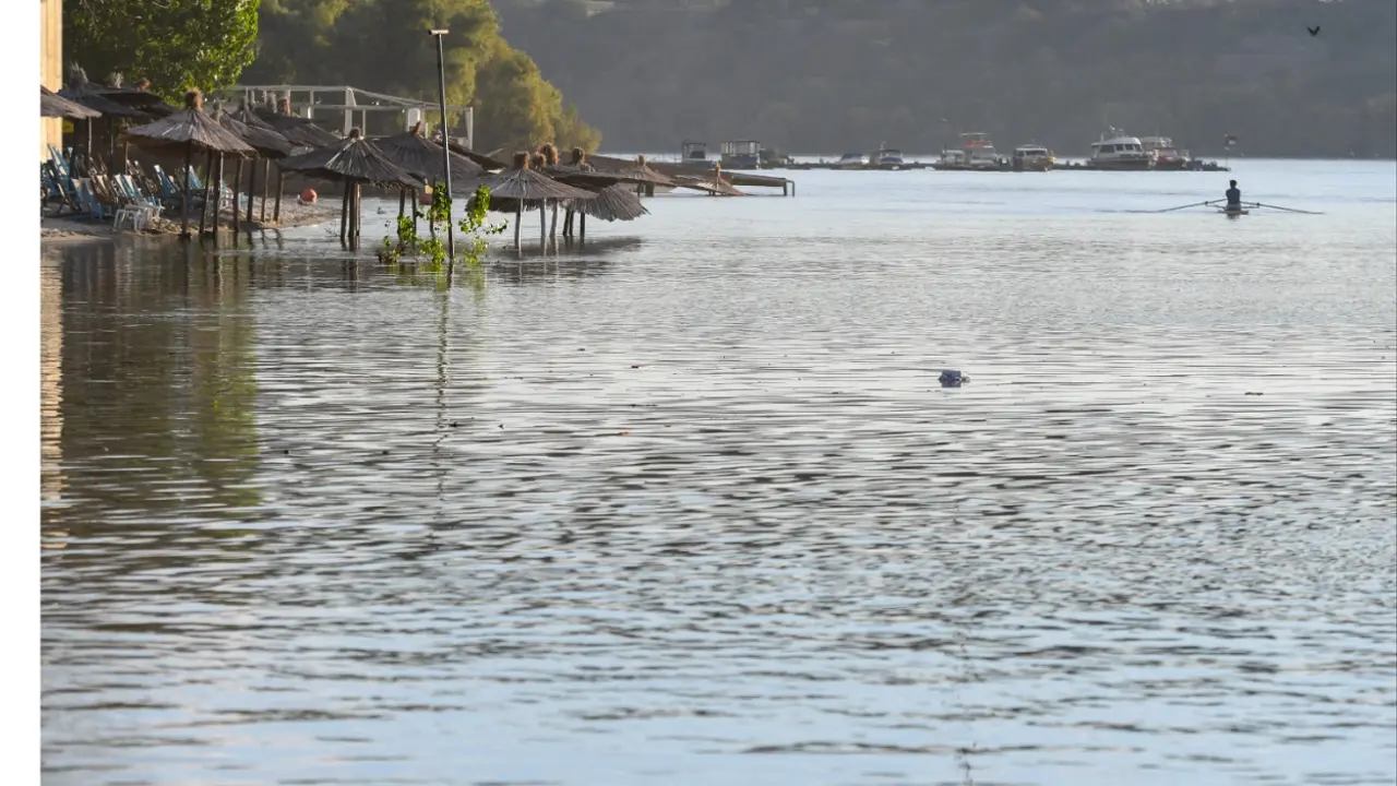 Dunav Novi Sad