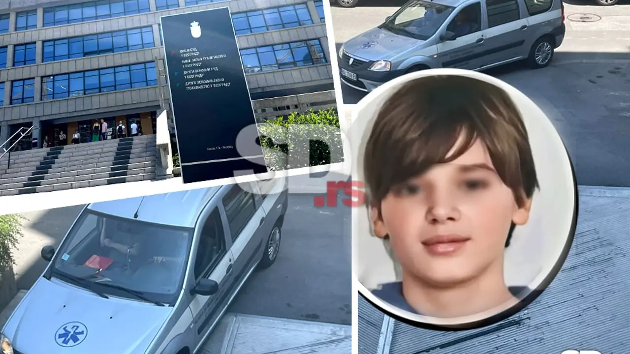 Dečak ubica iz Ribnikara pred sudom