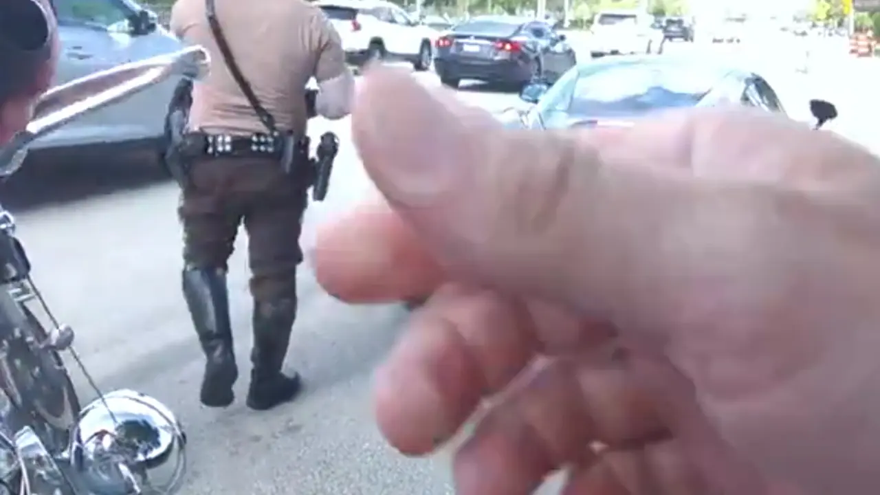 Policija hapsi Hila