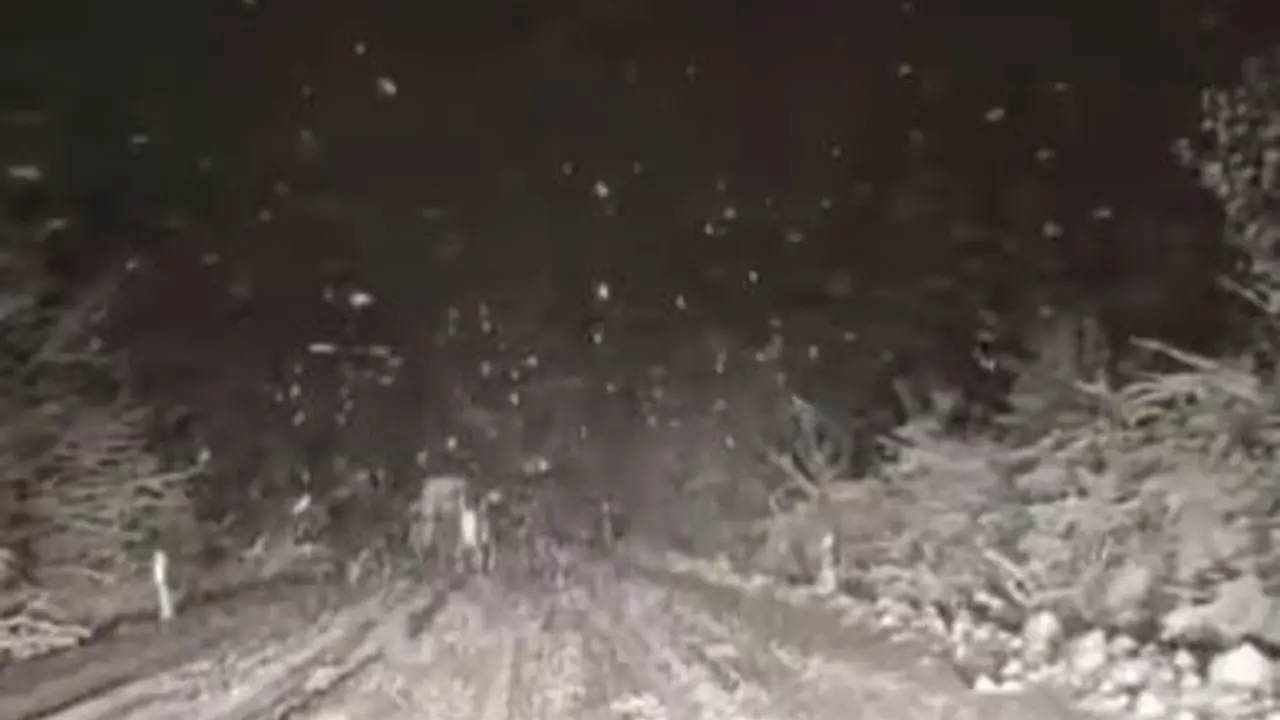 Snimak koji je izazvao šok i nevericu