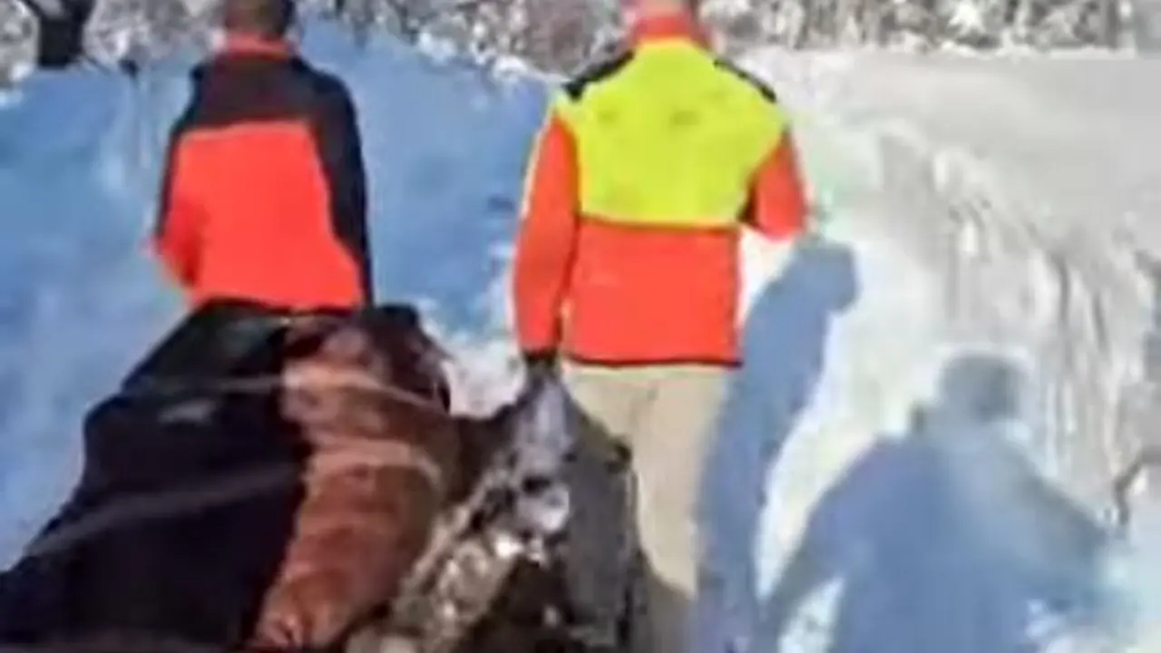 Potresne scene na planini u BiH