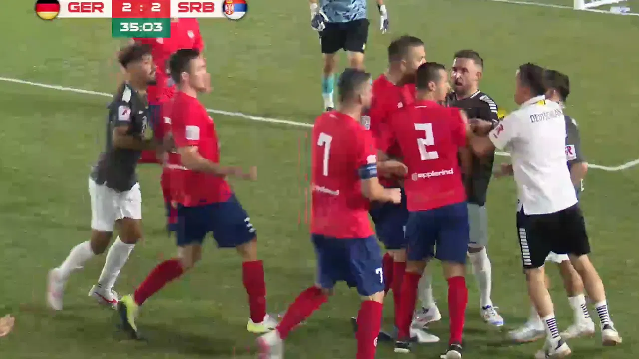 Tuča fudbalera Srbije i Nemačke
