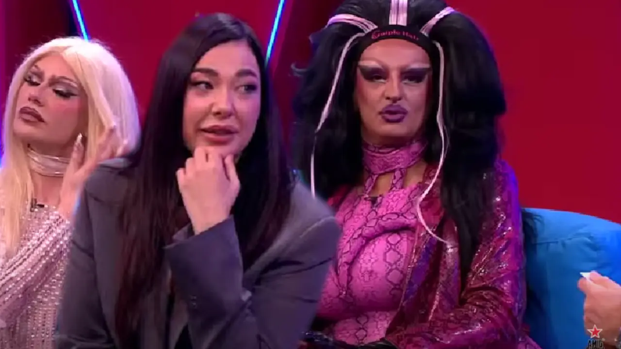 Sanja Vučić, Harem girls