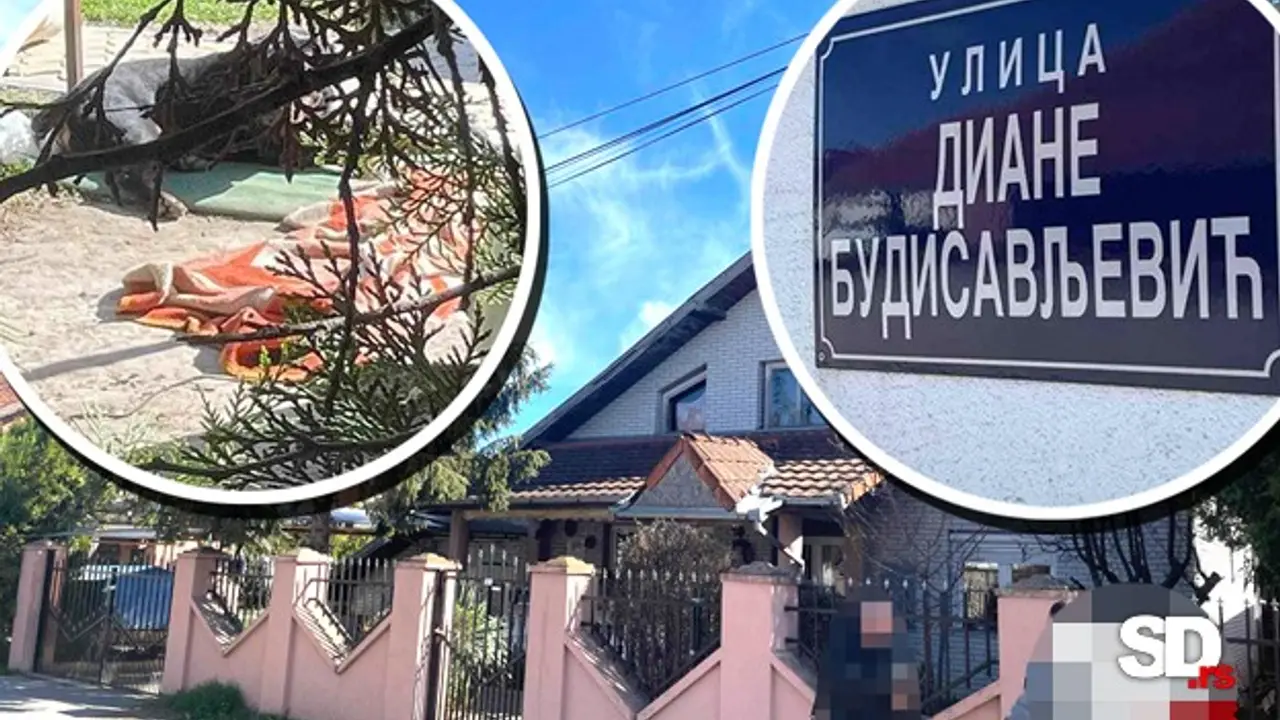 Ubistvo u Novom Sadu