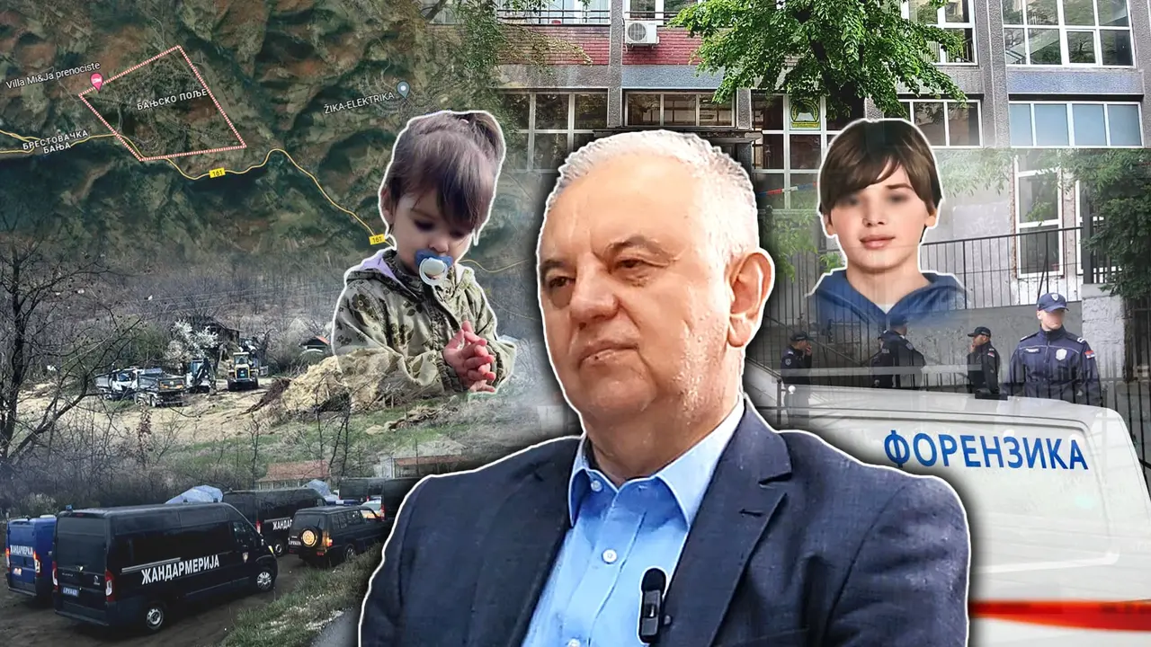 Časlav Ristić, dečak ubica, Danka Ilić 
