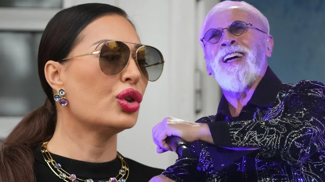 Svetlana Ceca Ražnatović, Dino Merlin