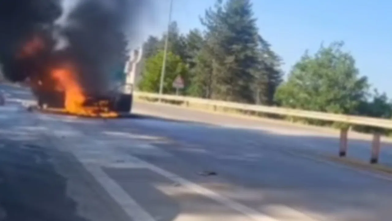 Gori automobil